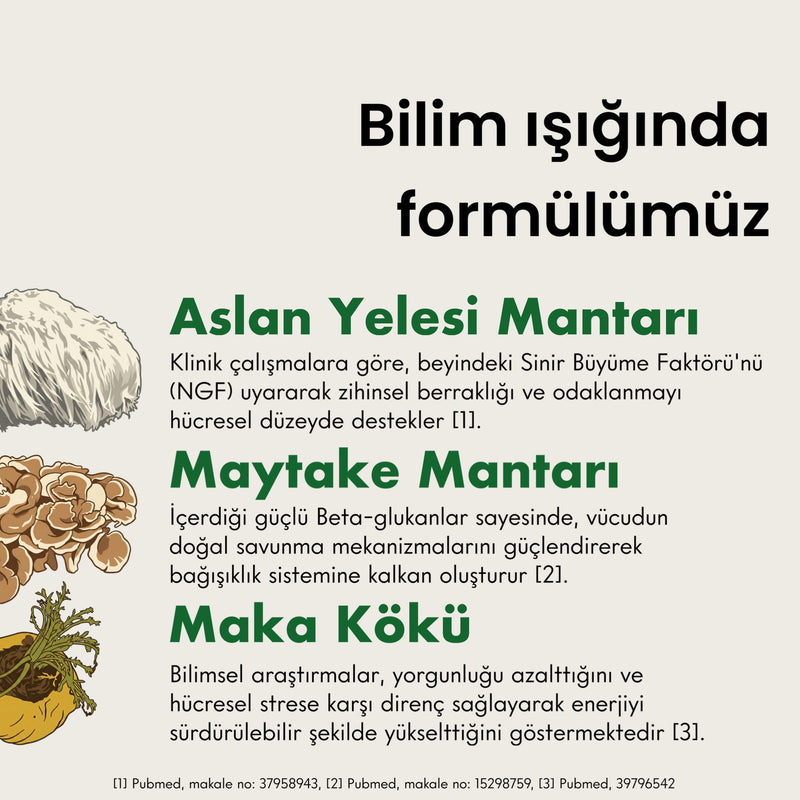 Fonksiyonel Mantar Takviyeli Ceremonial Grade Matcha