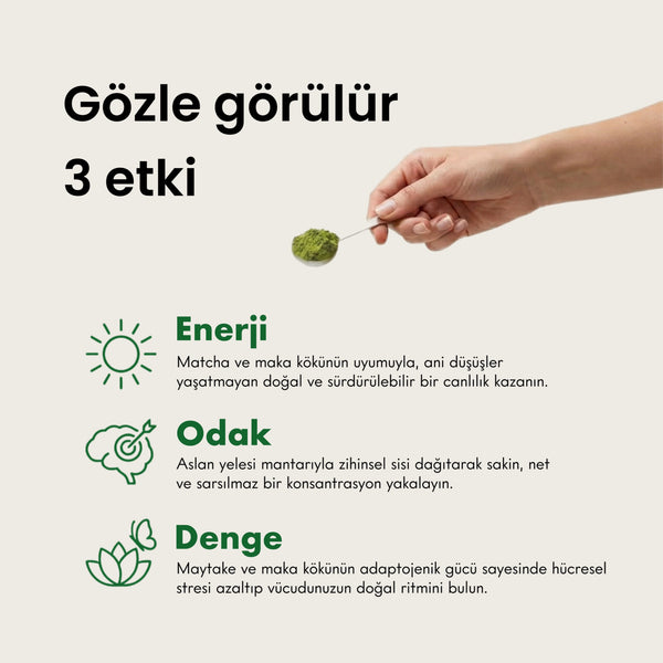 Fonksiyonel Mantar Takviyeli Ceremonial Grade Matcha